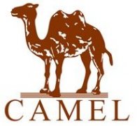 ＂云电商客服＂，CAMEL骆驼又玩创新